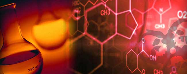 escape room Murcia El caso W.E.N.