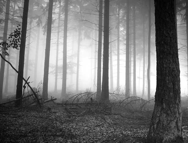 escape room Murcia El conjuro