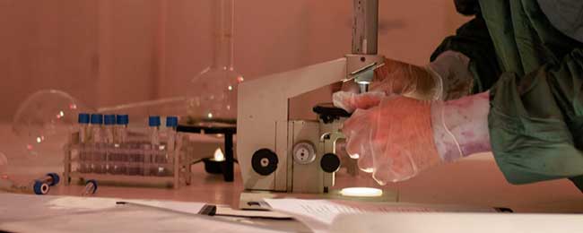 escape room Madrid Laboratorio zombie