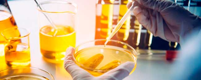 escape room Cantabria Proyecto Noresmo