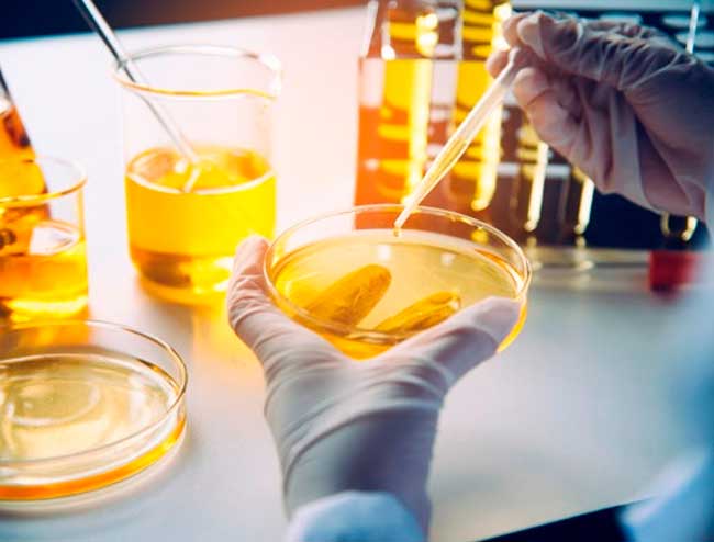 escape room Cantabria Proyecto Noresmo